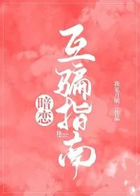 《暗恋互骗指南》小说封面