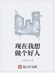 《现在我想做个好人》小说封面