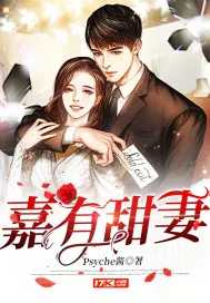 《嘉有甜妻》小说封面