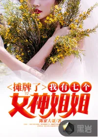 《摊牌了！我有七个女神姐姐》小说封面