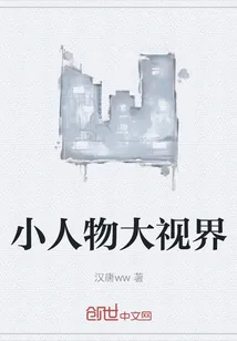 《小人物大视界》小说封面