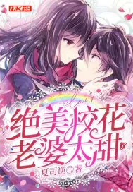 《绝美校花老婆太甜了》小说封面