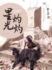 《星光灼灼》小说封面