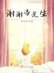 《谢谢帝先生》小说封面