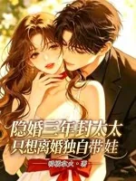 《隐婚三年，封太太只想离婚独自带娃》小说封面