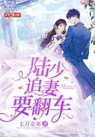《陆少追妻要翻车》小说封面