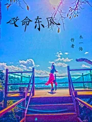 《改命东风》小说封面