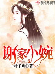 《谢家小婉》小说封面