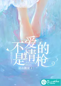 《不是爱情的枪》小说封面