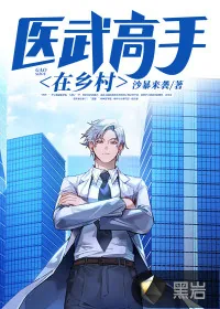 《医武高手在乡村》小说封面