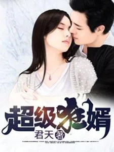 《超级狂婿》小说封面