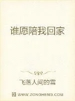 《谁愿陪我回家》小说封面