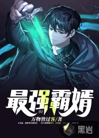 《最强霸婿》小说封面