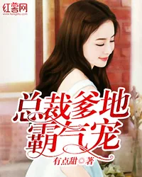 《总裁爹地霸气宠》小说封面