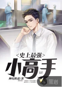 《史上最强小高手》小说封面