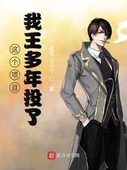 《这个项目,我王多年投了》小说封面