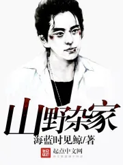 《山野杂家》小说封面