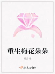 《重生梅花朵朵》小说封面