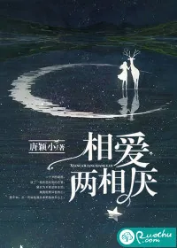 《相爱两相厌》小说封面