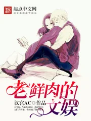 《老鲜肉的文娱》小说封面
