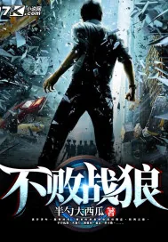 《不败战狼》小说封面