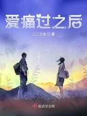 《爱痛过之后》小说封面