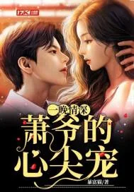 《一晚情深：萧爷的心尖宠》小说封面