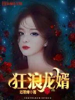 《狂浪龙婿》小说封面