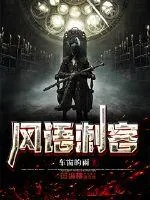 《风语刺客》小说封面