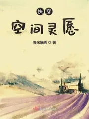 《快穿空间灵愿》小说封面
