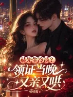 《赫先生冷淡?领证当晚又亲又哄》小说封面
