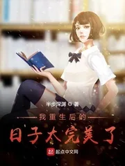 《我重生后的日子太完美了》小说封面