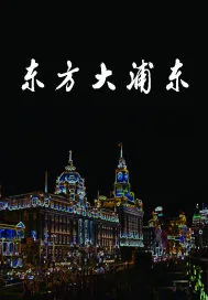 《东方大浦东》小说封面