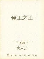 《雀王之王》小说封面