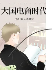 《大国电商时代》小说封面