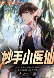 《妙手小医仙》小说封面
