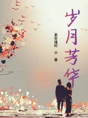 《岁月芳华》小说封面