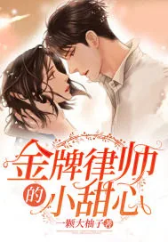 《金牌律师的小甜心》小说封面