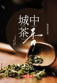 《城中茶香》小说封面