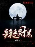《辣手灵探》小说封面