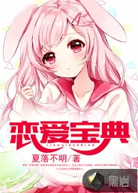 《恋爱宝典》小说封面