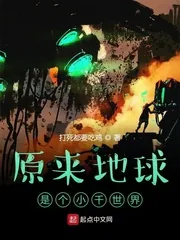 《原来地球是个小千世界》小说封面