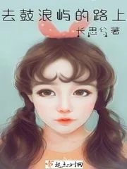 《去鼓浪屿的路上》小说封面