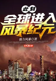 《此刻全球进入风暴纪元》小说封面