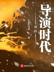 《我的导演时代》小说封面