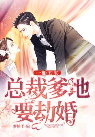 《一胎五宝：总裁爹地要劫婚》小说封面