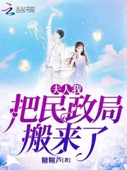 《夫人我把民政局搬来了》小说封面