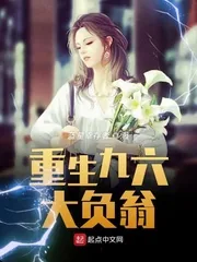 《重生九六大负翁》小说封面