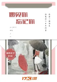 《遇见你忘记你》小说封面