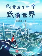 《我开发了一个武侠世界》小说封面